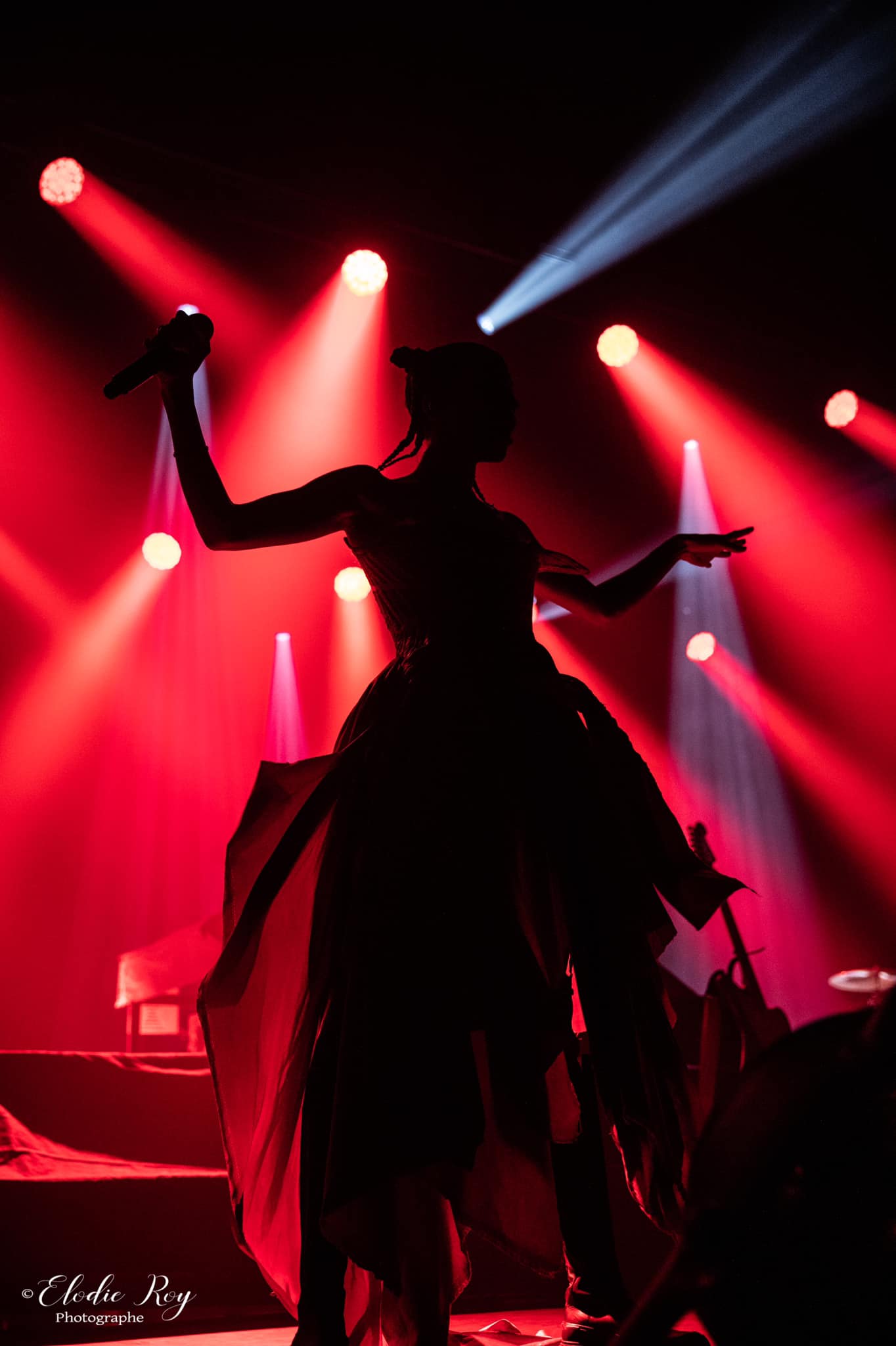 Elodie-Roy-photographe-professionnelle-concert-live