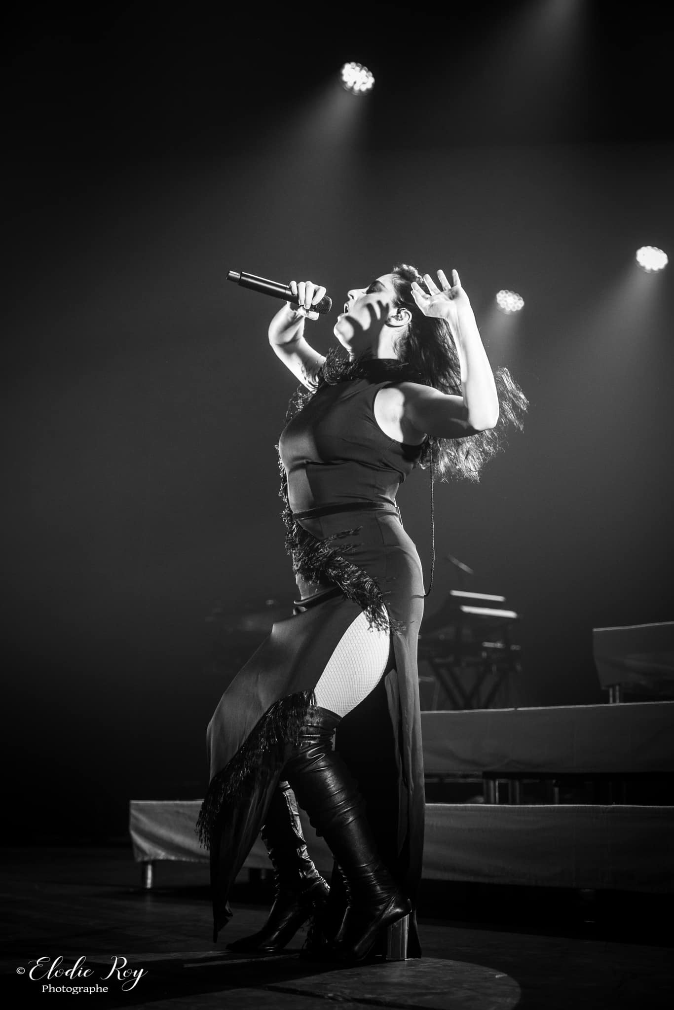 Elodie-Roy-photographe-professionnelle-concert-live-reporting