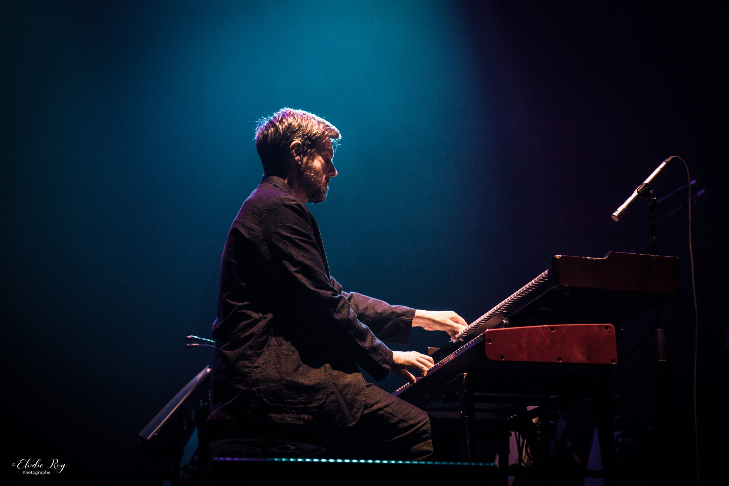 Elodie-Roy-photographe-professionnelle-concert-legrandrex