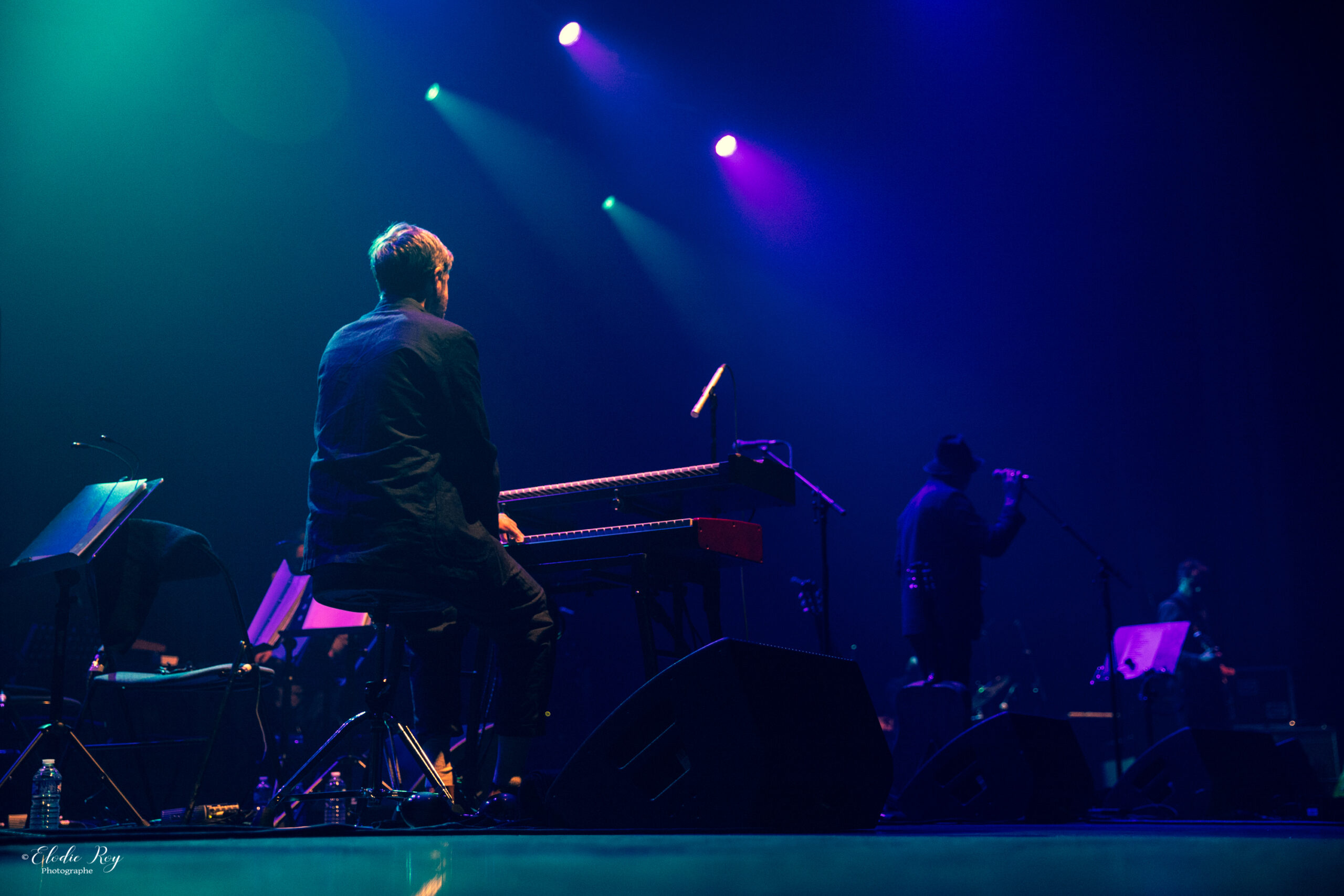 Elodie-Roy-photographe-professionnelle-concert-legrandrex